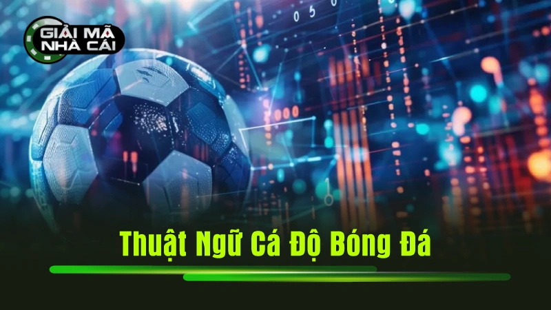 thuật ngữ cá độ bóng đá