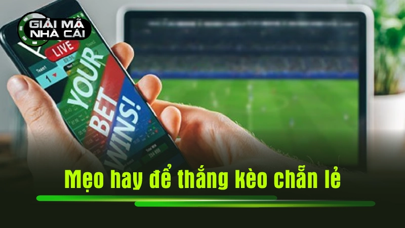 Mẹo hay để thắng kèo chẵn lẻ