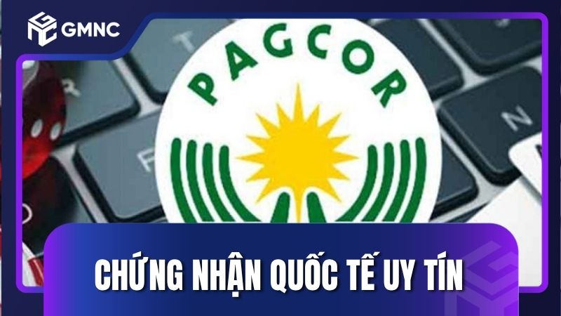 Cách phân biệt Nbet thật giả qua giấy phép