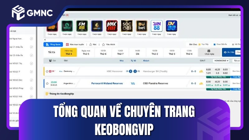 Tổng quan về chuyên trang KeoBongVIP